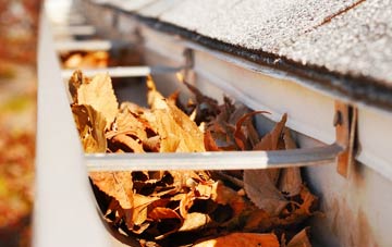 Limbrick gutter cleaning companies